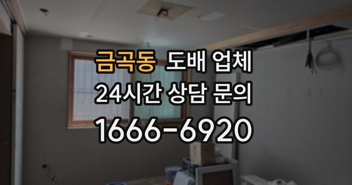 금곡동 도배 업체