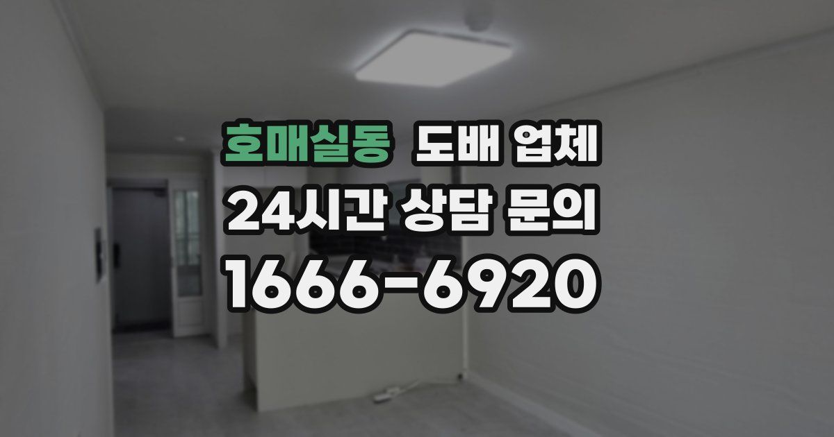 호매실동 도배 업체