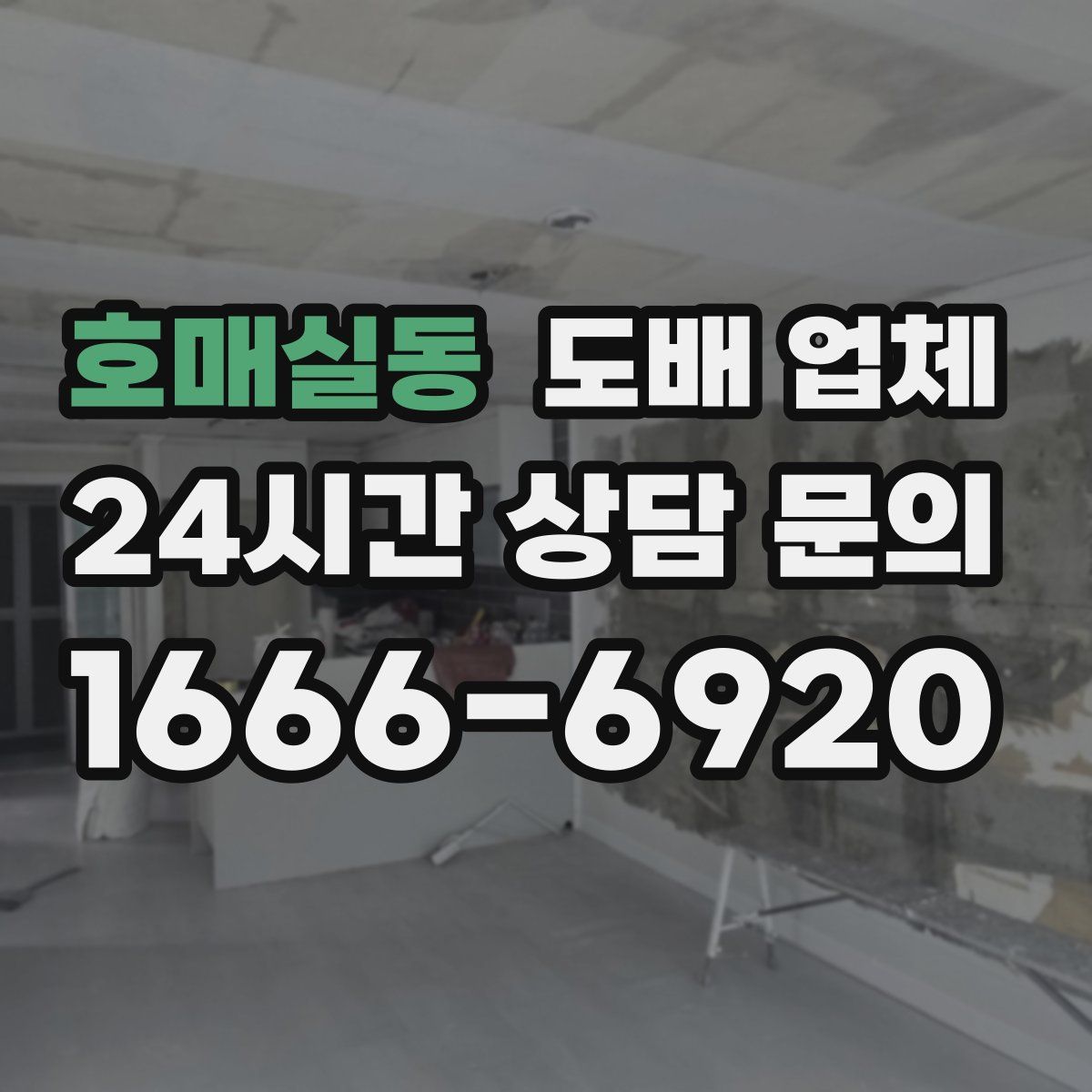 호매실동 도배 업체