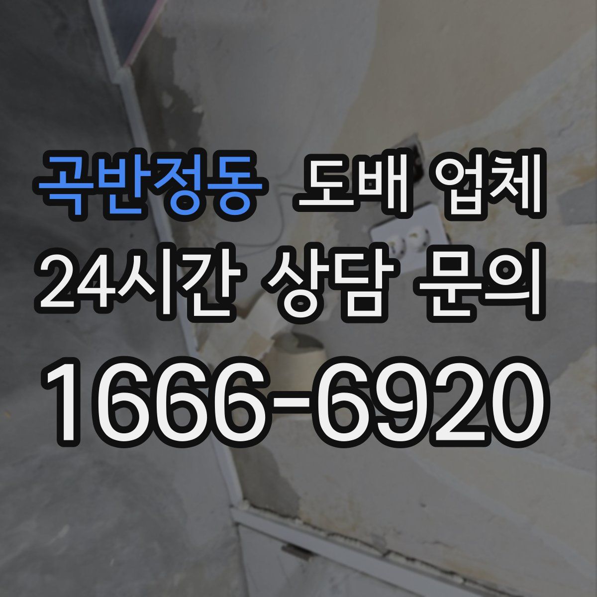 곡반정동 도배 업체