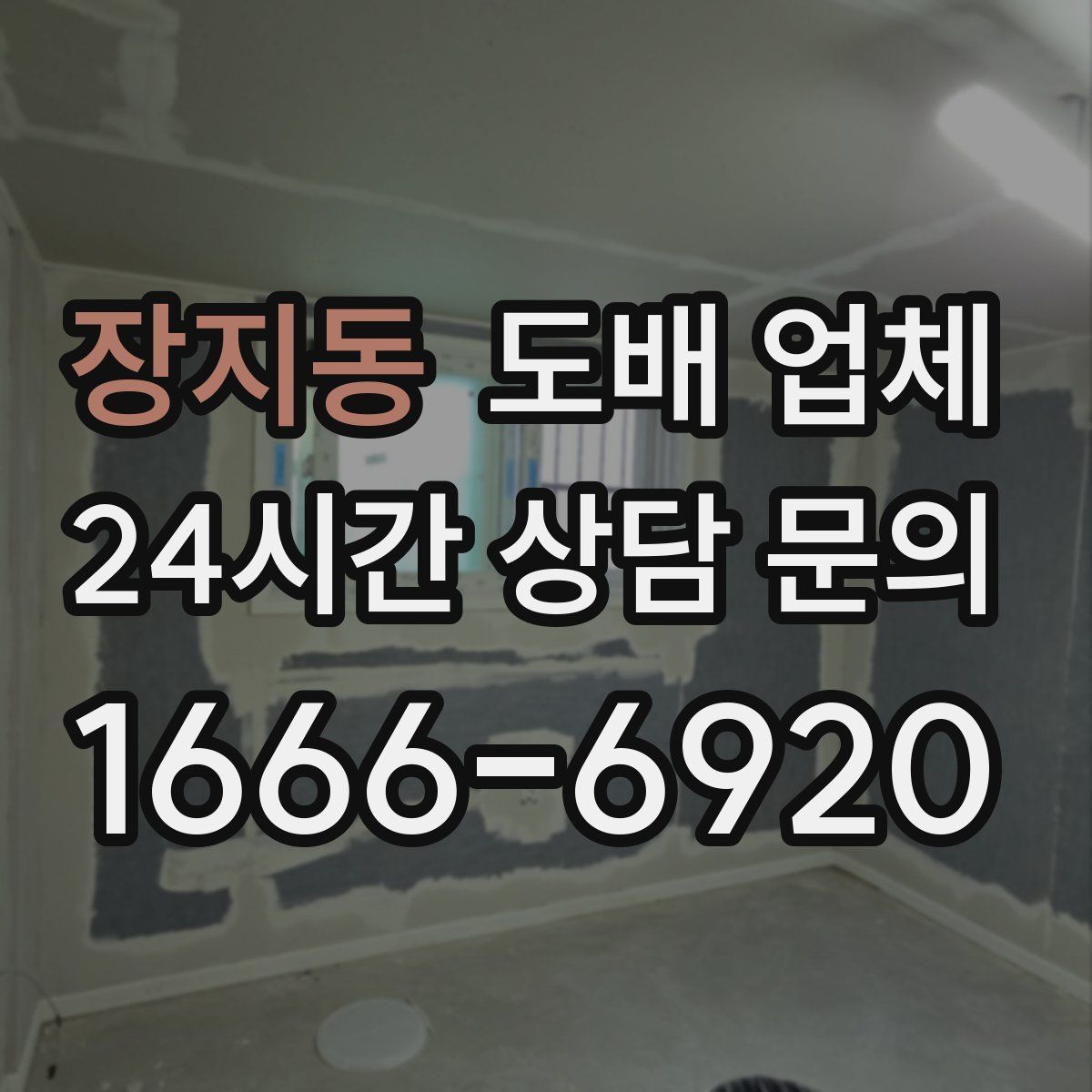 장지동 도배 업체