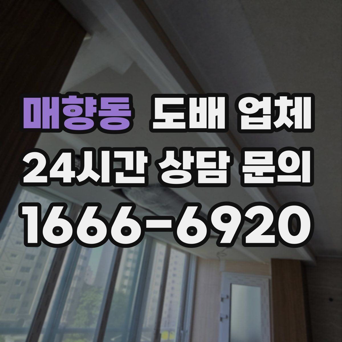 매향동 도배 업체 상담 전 알아둘 점