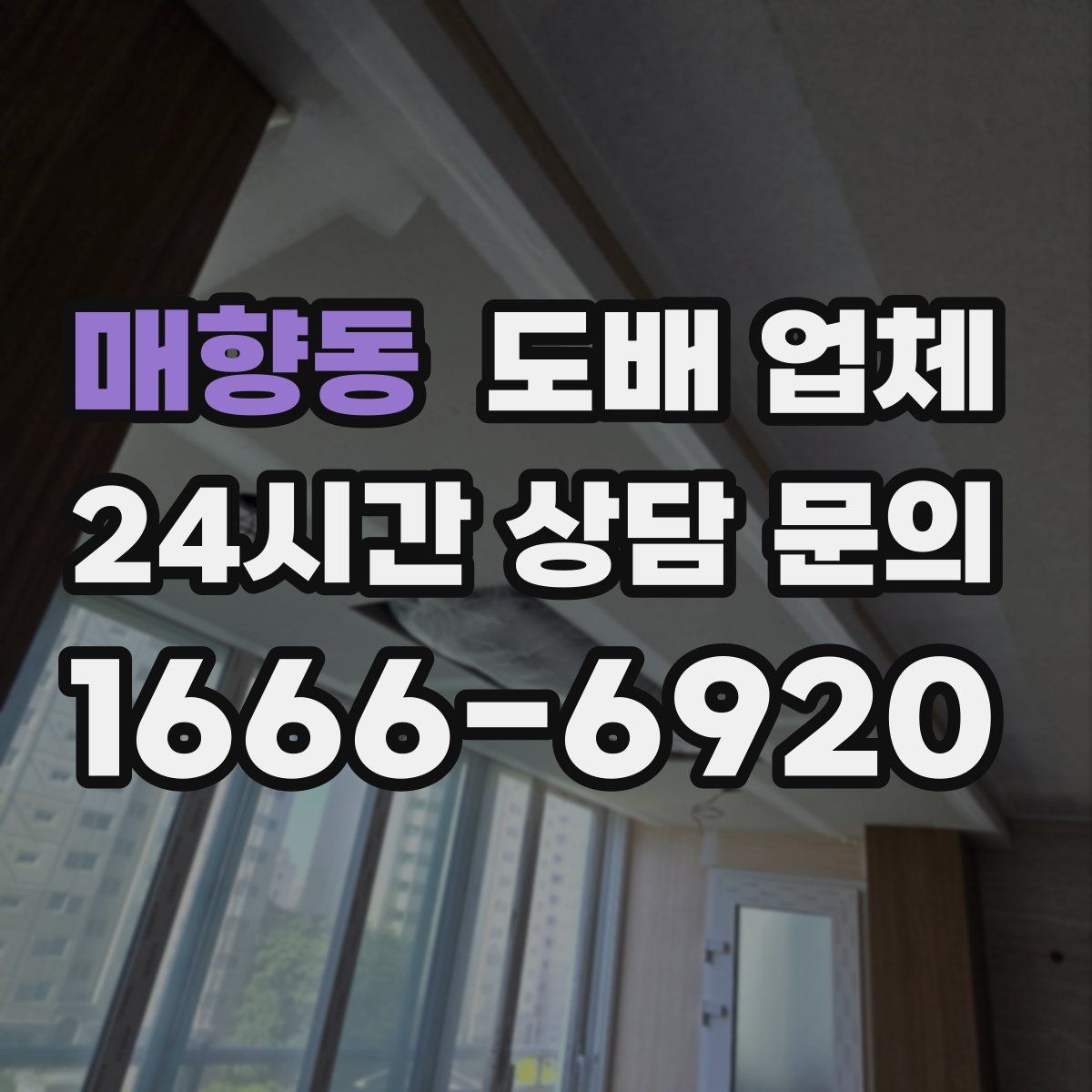 매향동 도배 업체