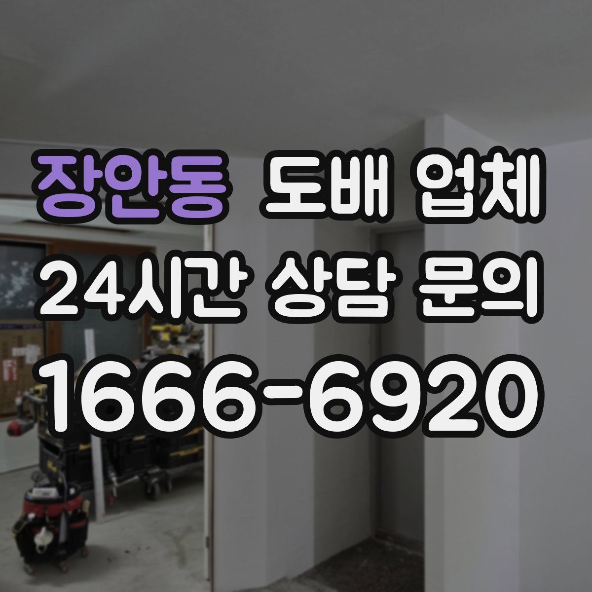 장안동 도배 업체