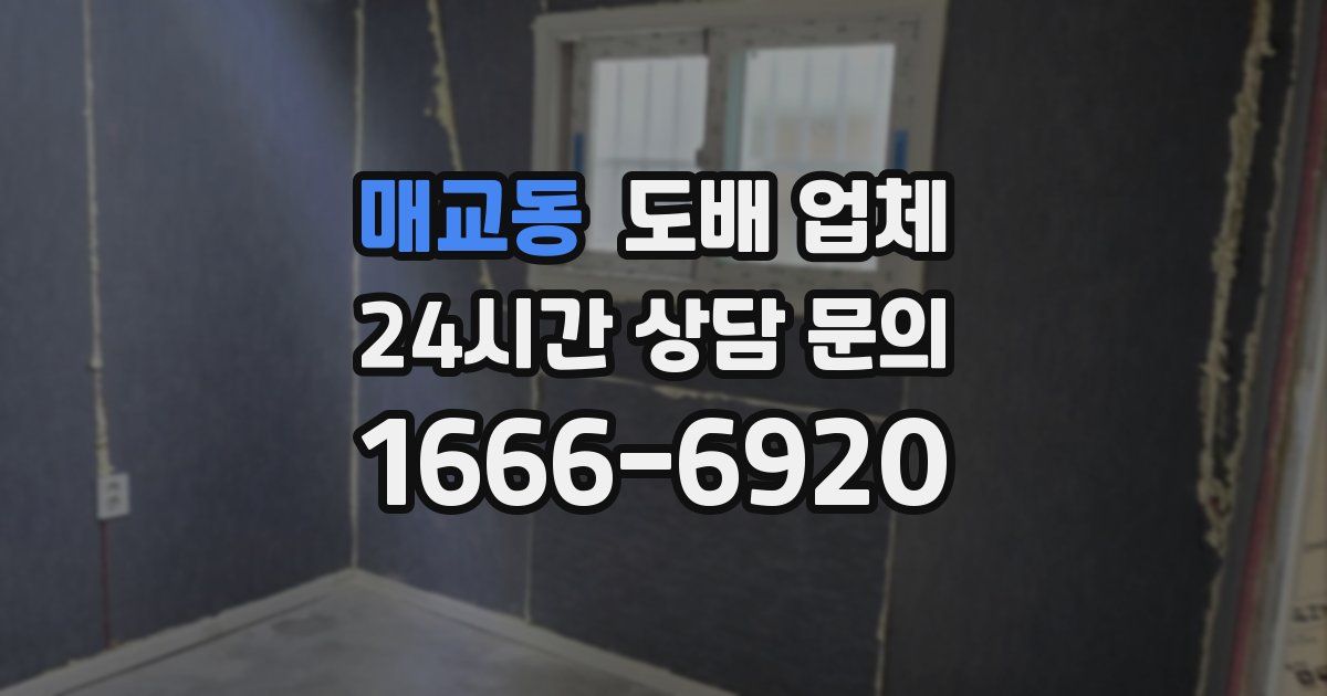 매교동 도배 업체