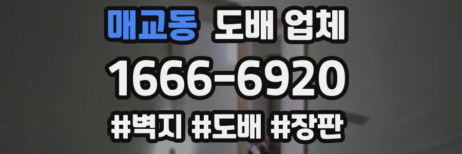 매교동 도배 업체
