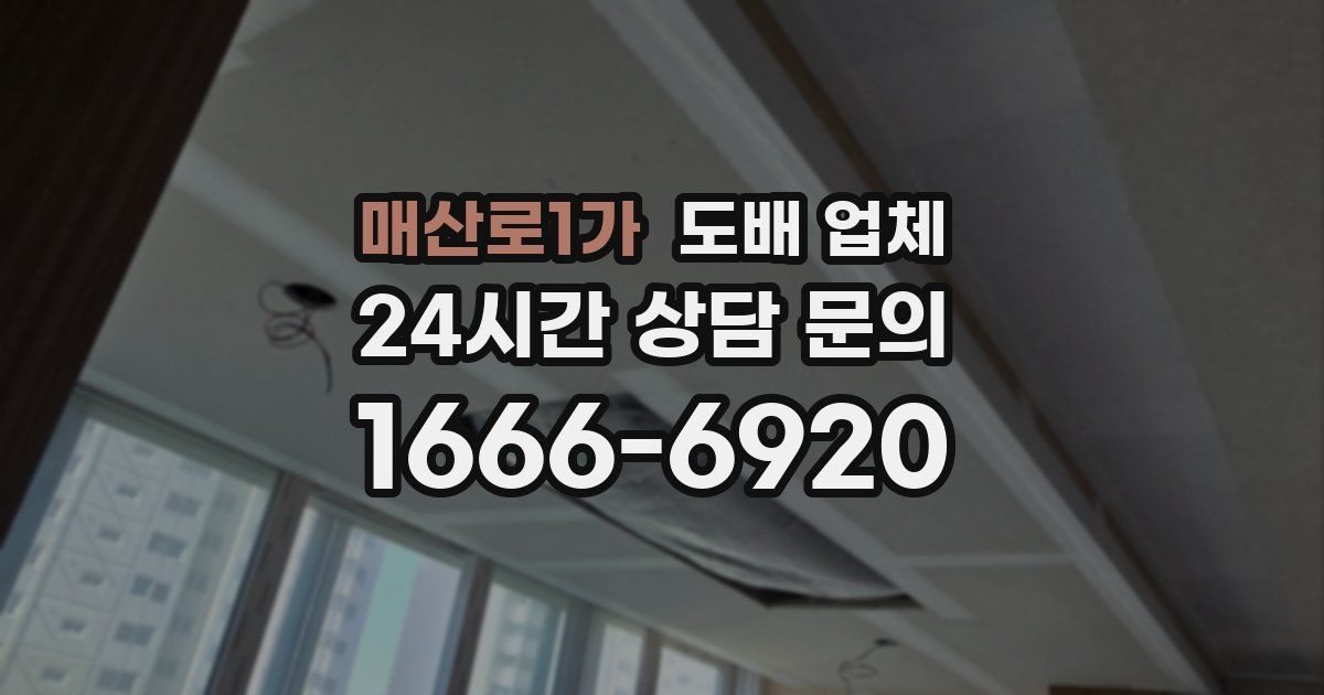 매산로1가 도배 업체