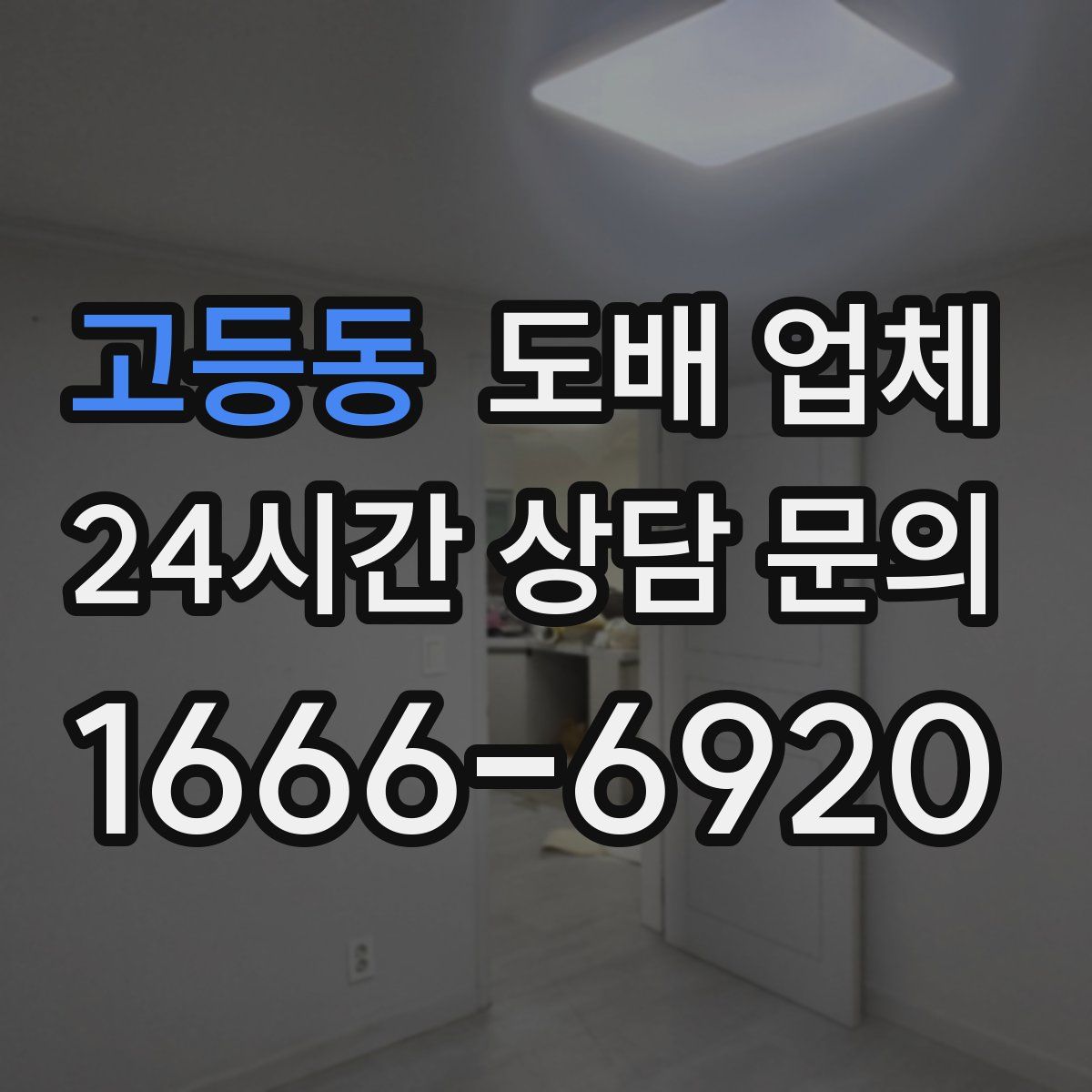 고등동 도배 업체
