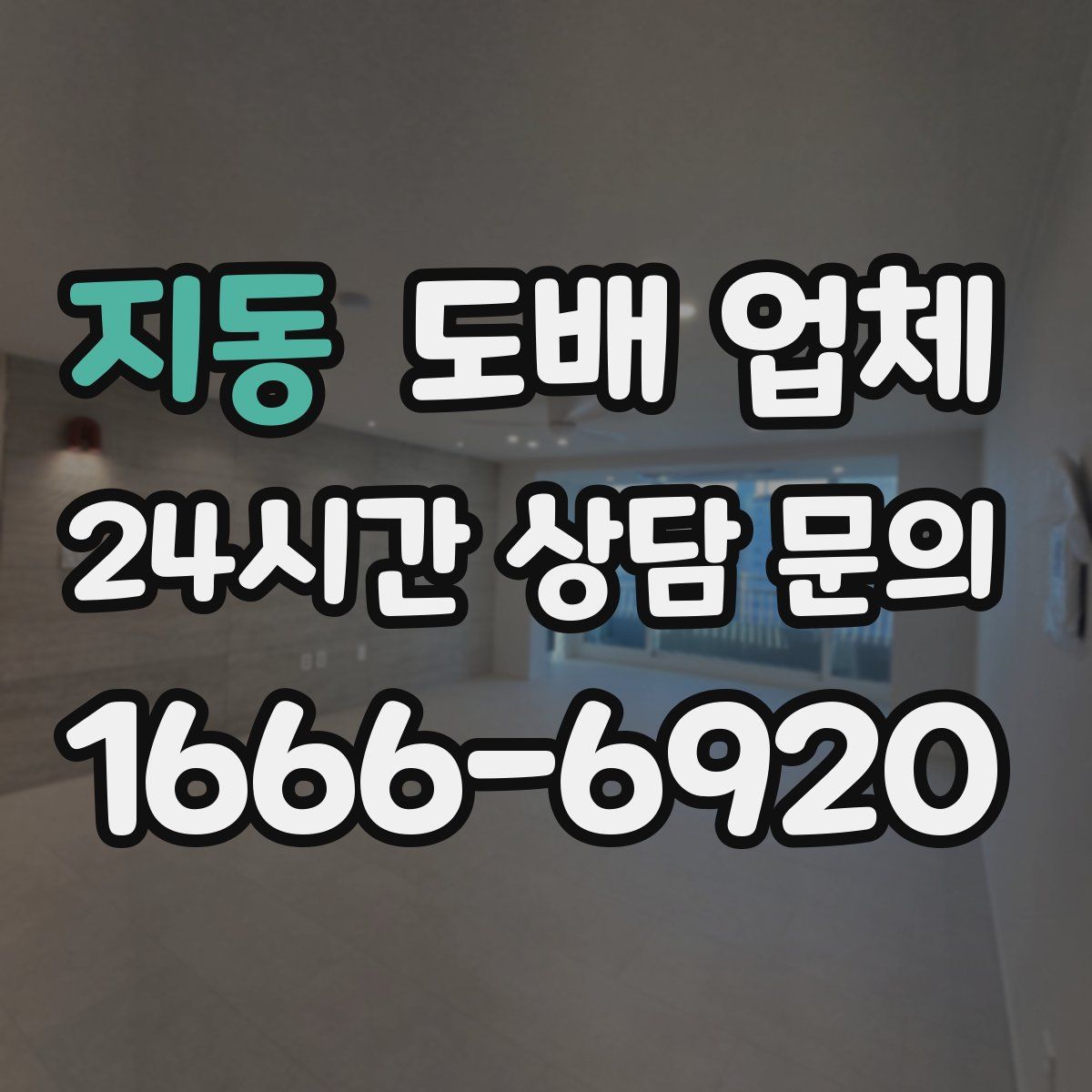 지동 도배 업체