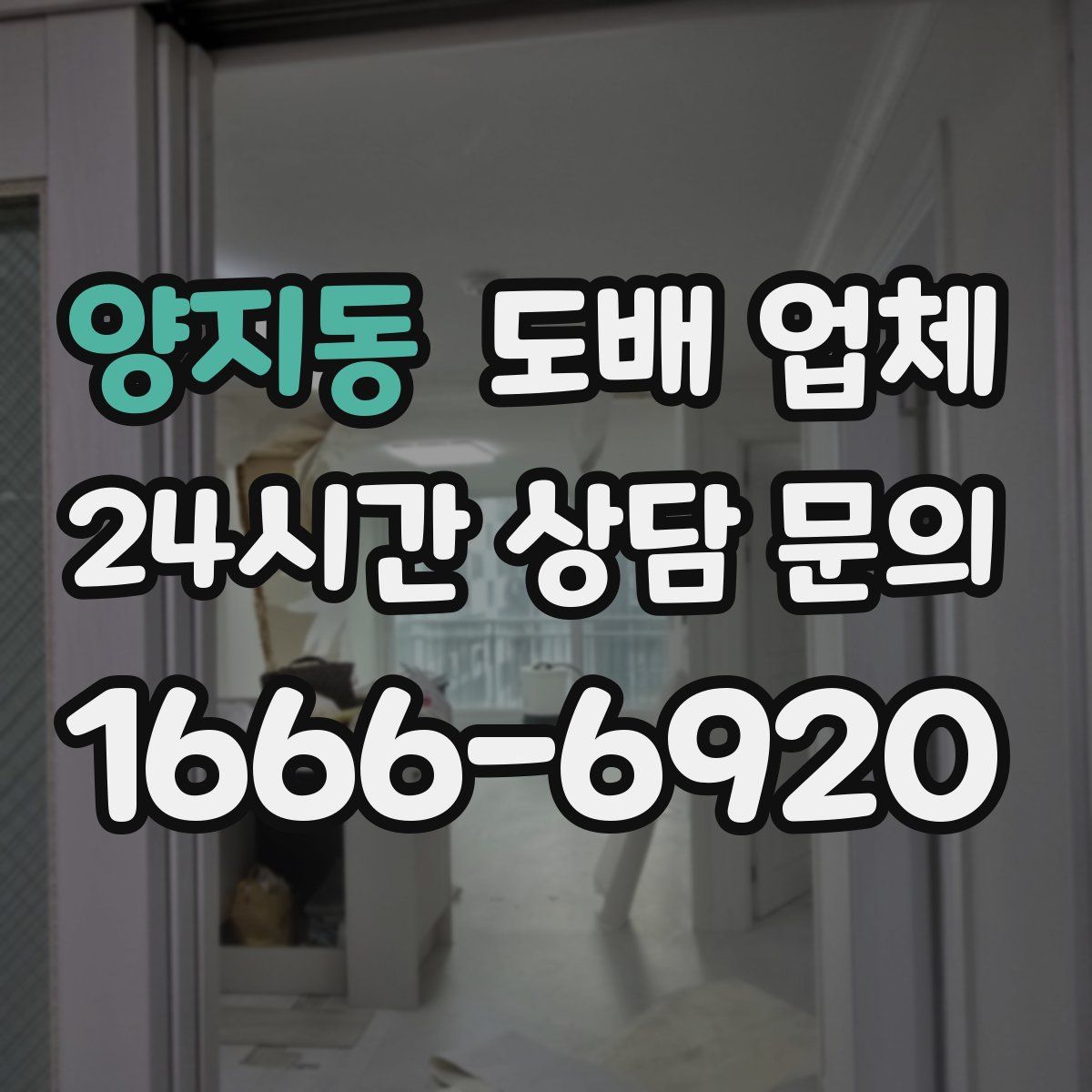 양지동 도배 업체