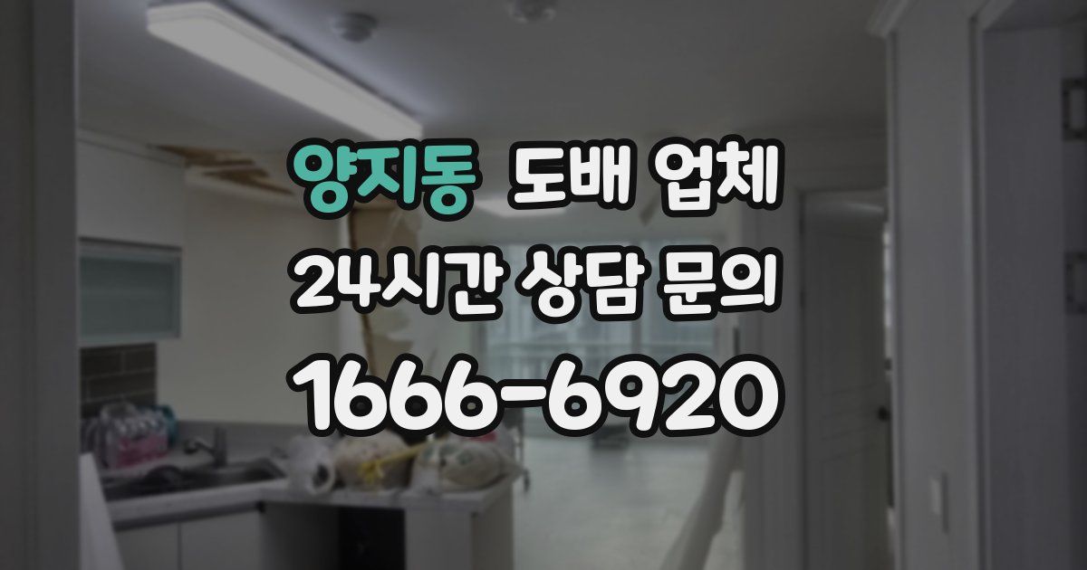 양지동 도배 업체