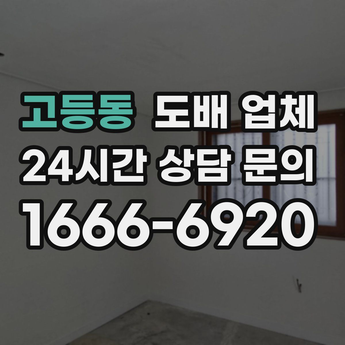 고등동 도배 업체
