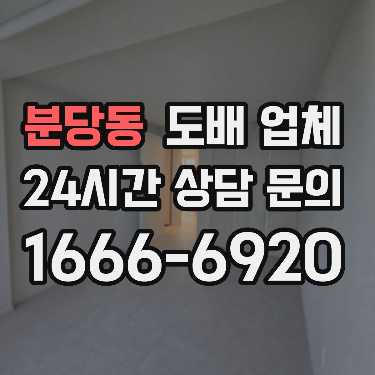 분당동 도배 업체