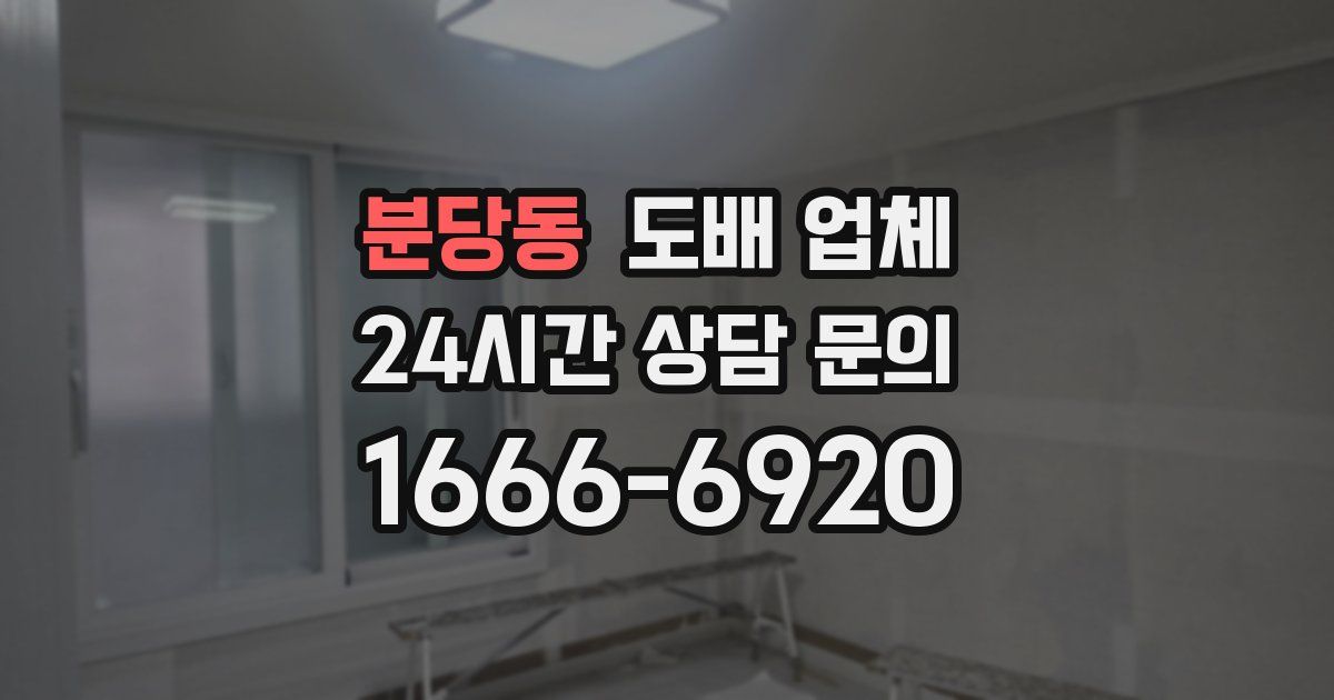 분당동 도배 업체