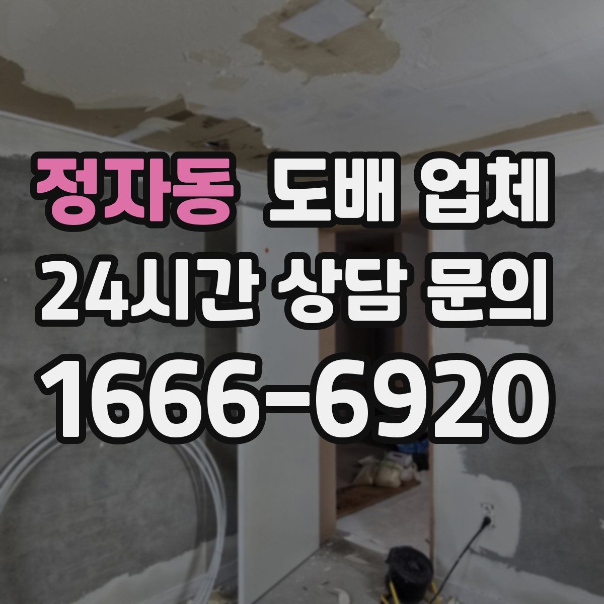 정자동 도배 업체