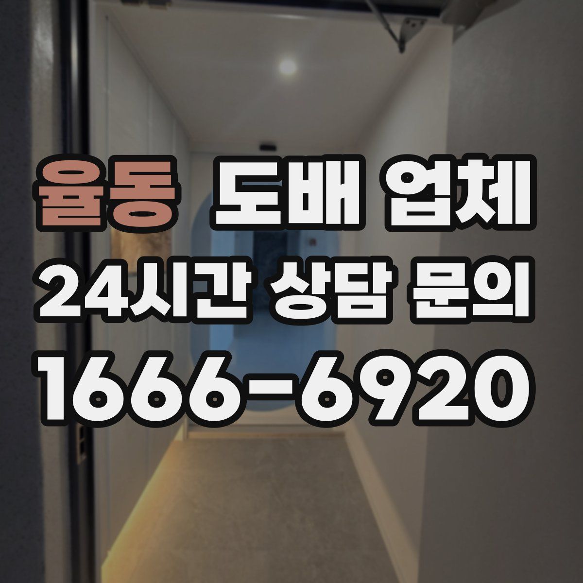 율동 도배 업체