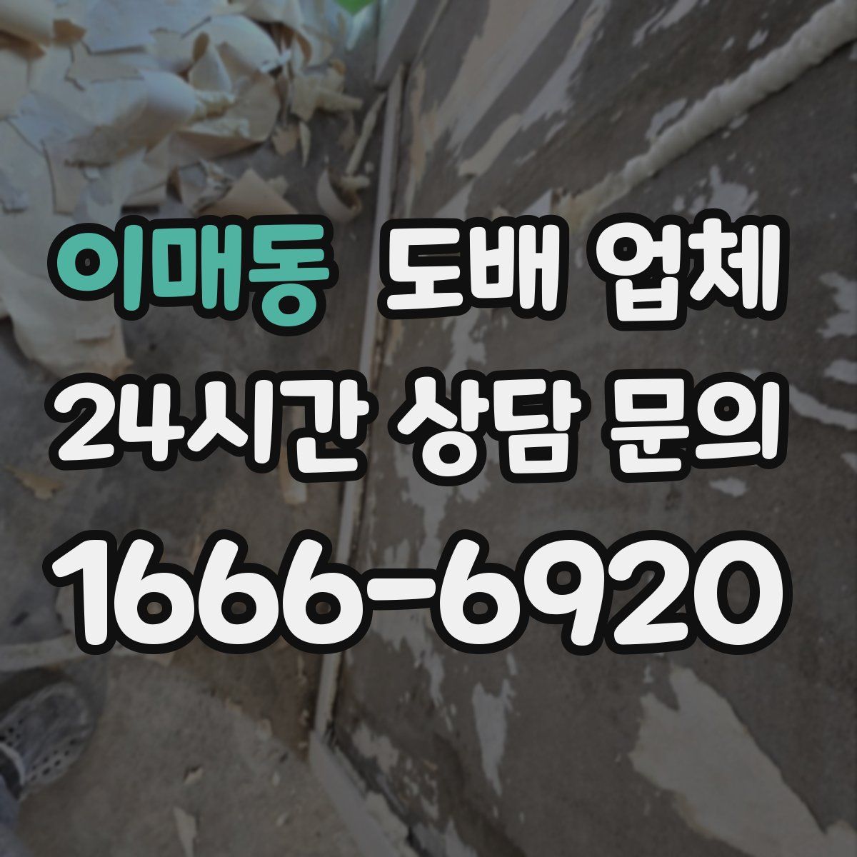 이매동 도배 업체