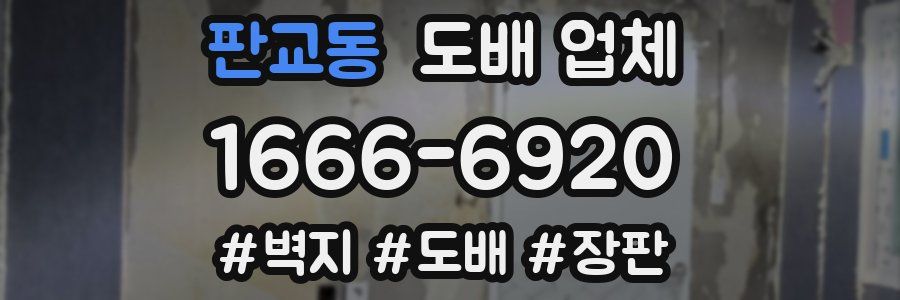 판교동 도배 업체