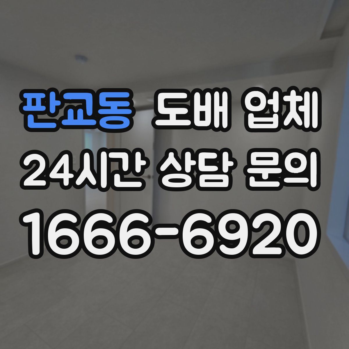 판교동 도배 업체