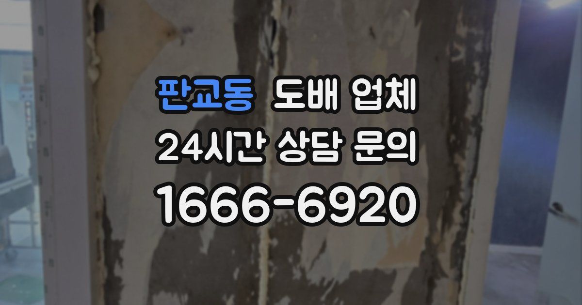 판교동 도배 업체