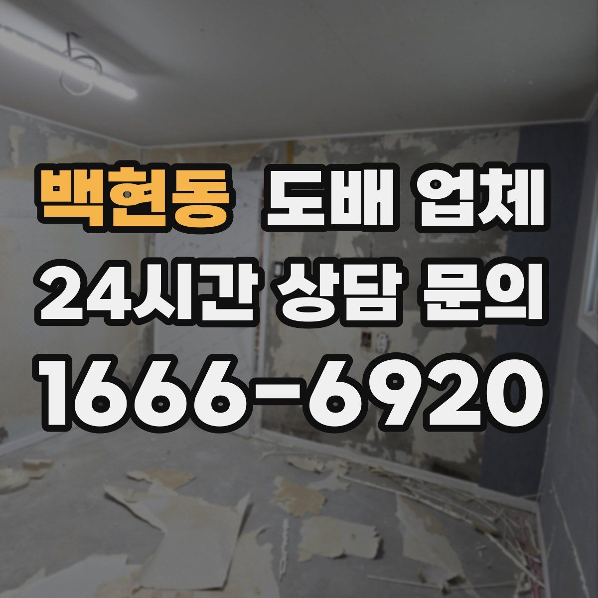 백현동 도배 업체