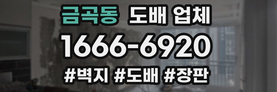 금곡동 도배 업체