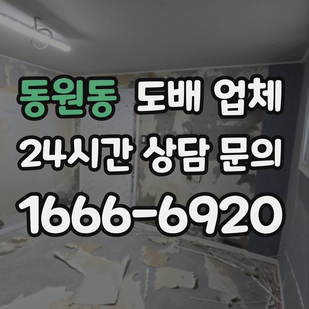 동원동 도배 업체