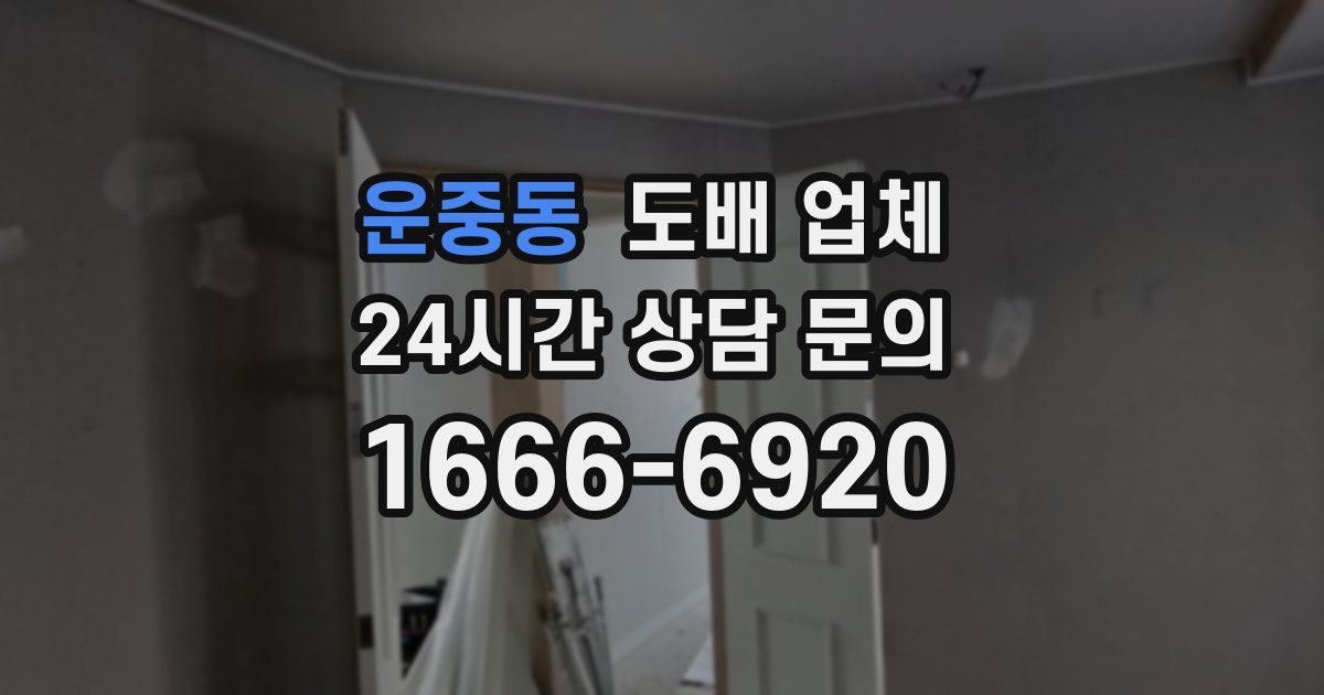 운중동 도배 업체