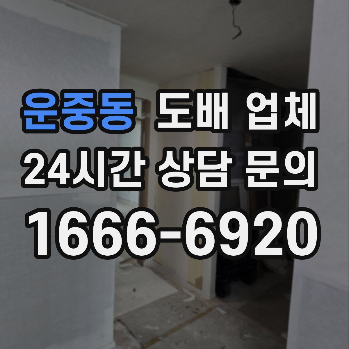 운중동 도배 업체