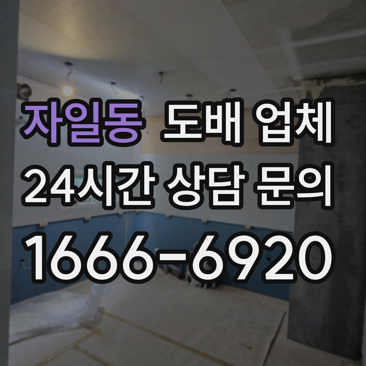 자일동 도배 업체