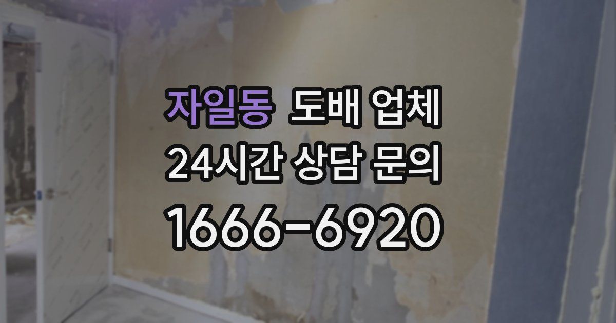 자일동 도배 업체