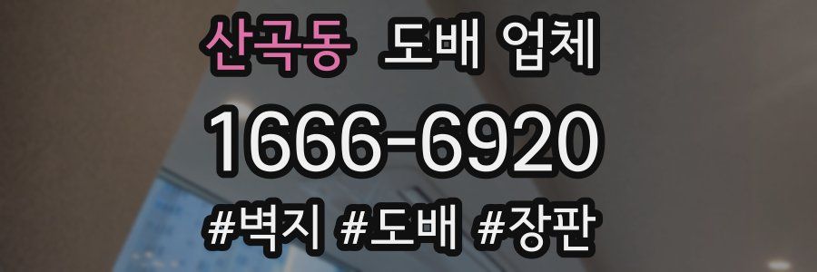 산곡동 도배 업체