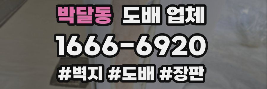 박달동 도배 업체