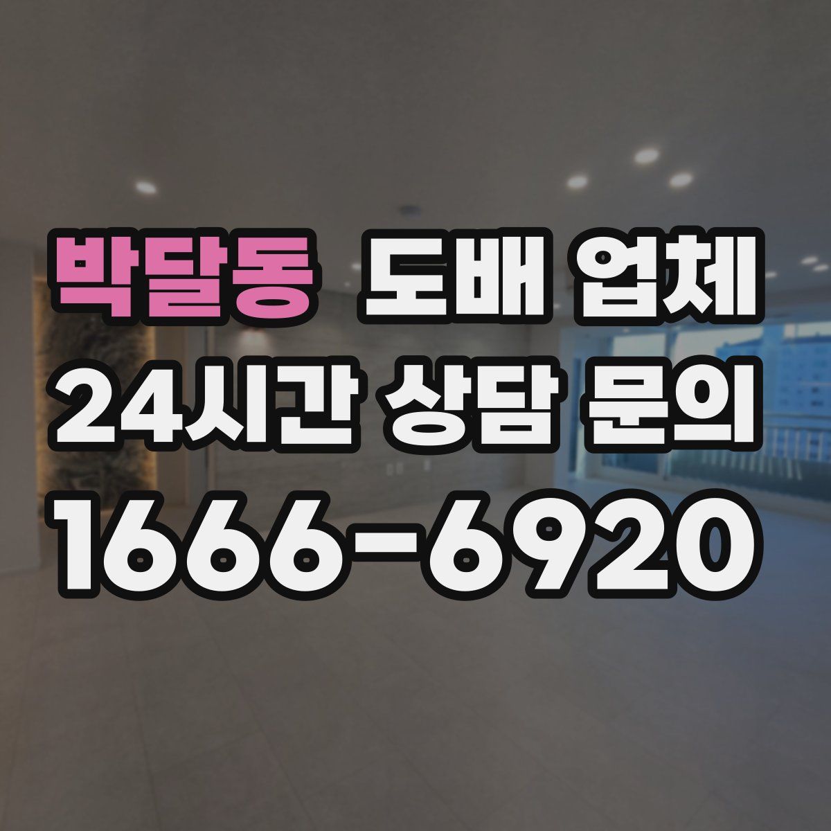 박달동 도배 업체