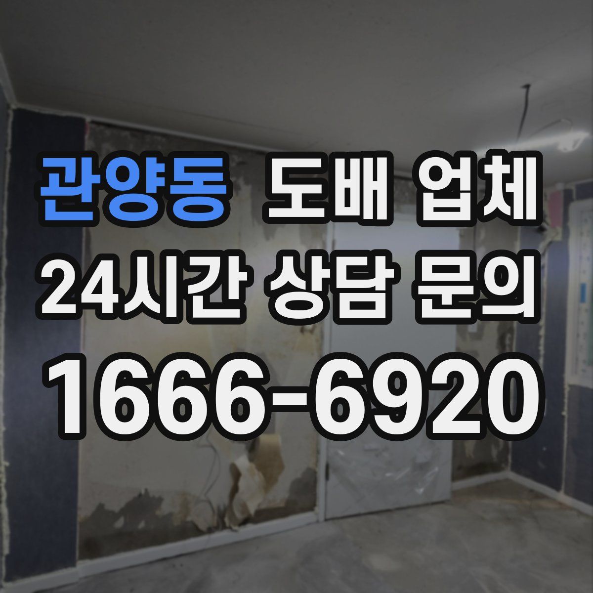 관양동 도배 업체