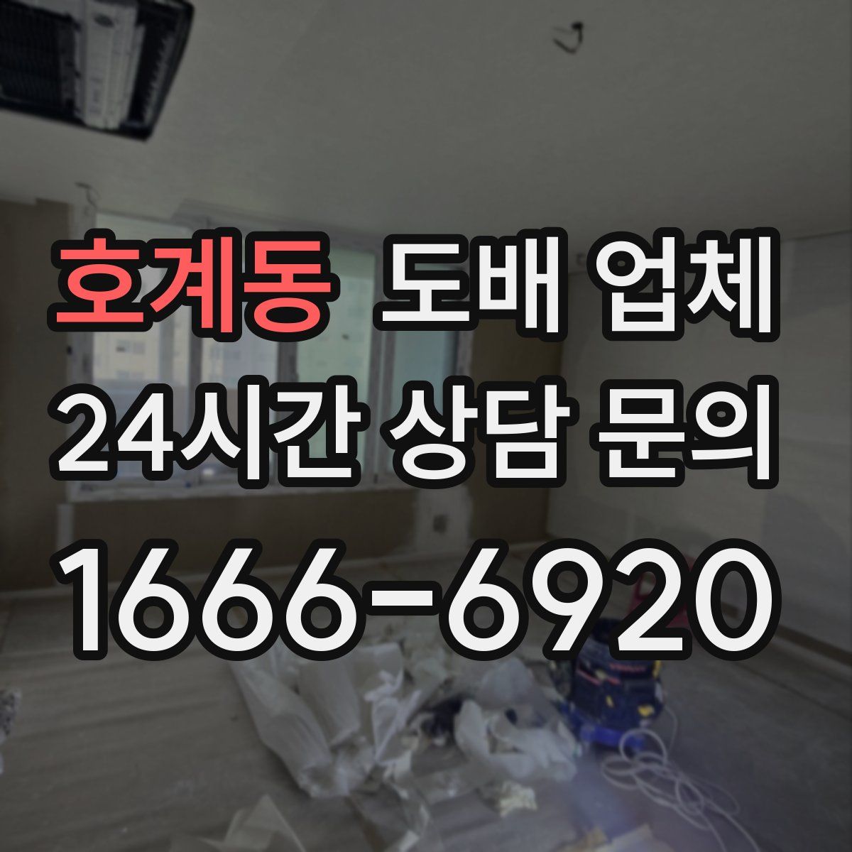 호계동 도배 업체