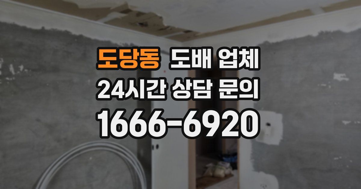 도당동 도배 업체