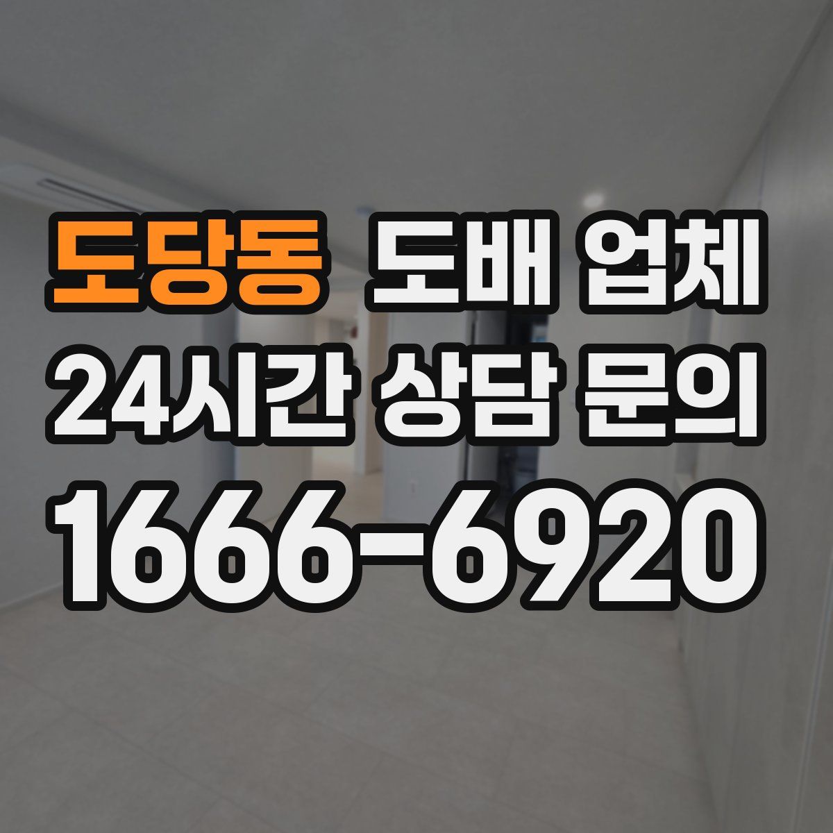 도당동 도배 업체