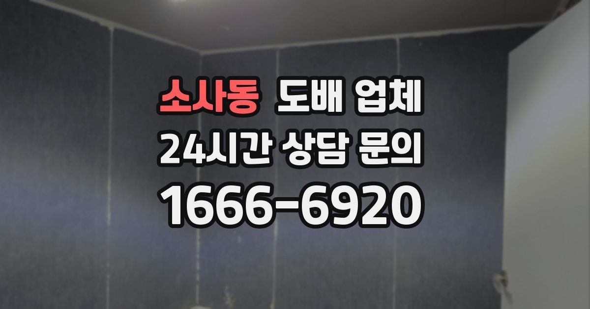소사동 도배 업체