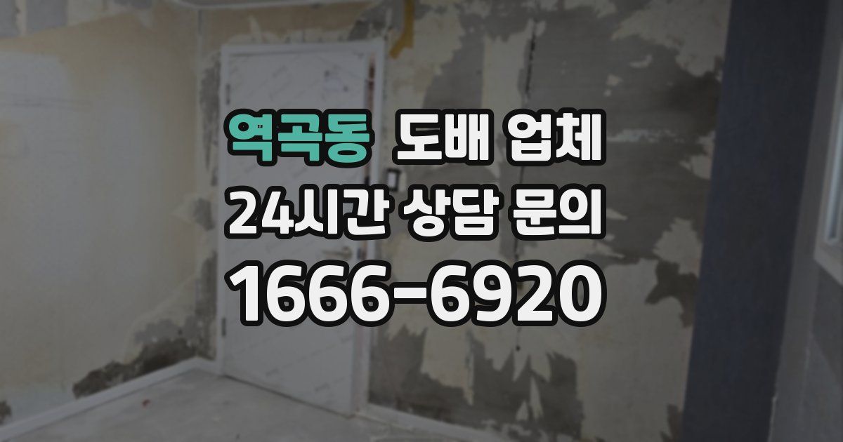 역곡동 도배 업체