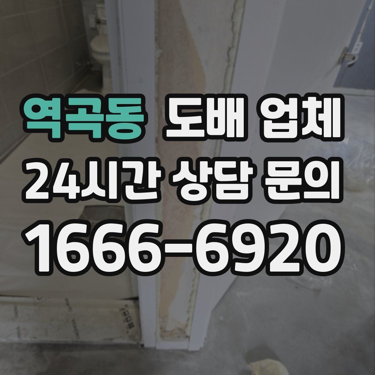 역곡동 도배 업체