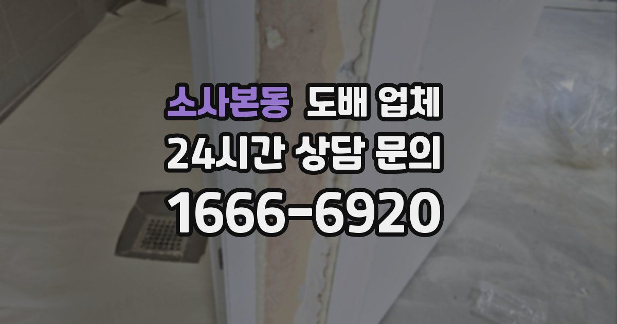 소사본동 도배 업체
