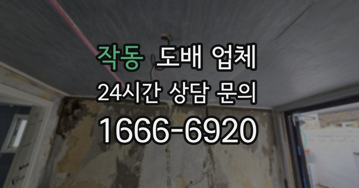 작동 도배 업체
