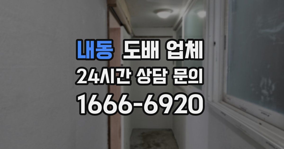 내동 도배 업체