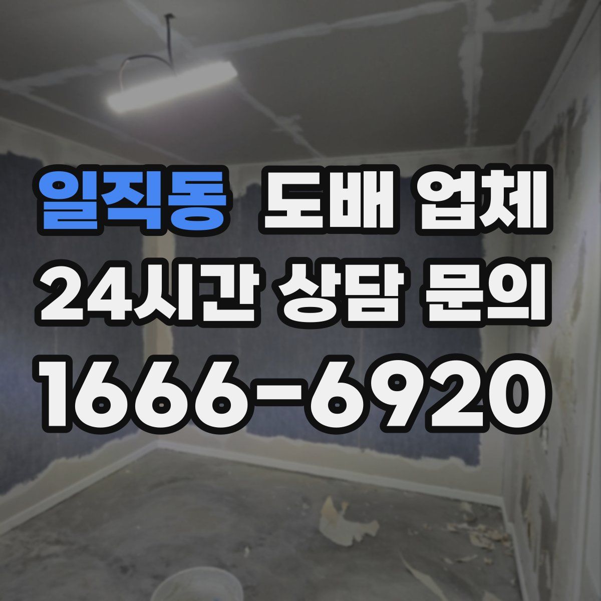 일직동 도배 업체