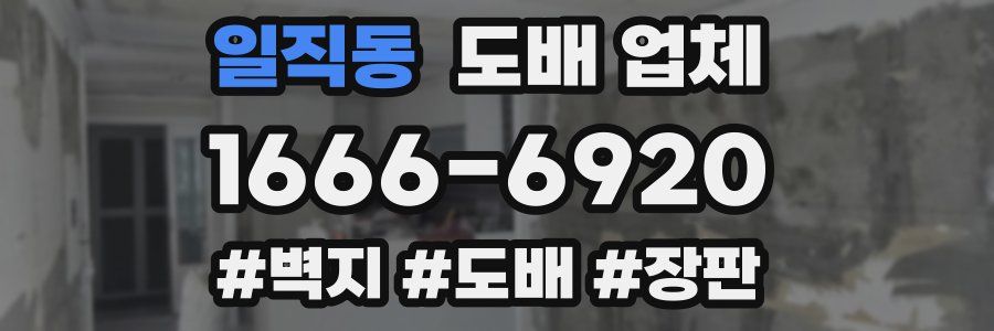 일직동 도배 업체
