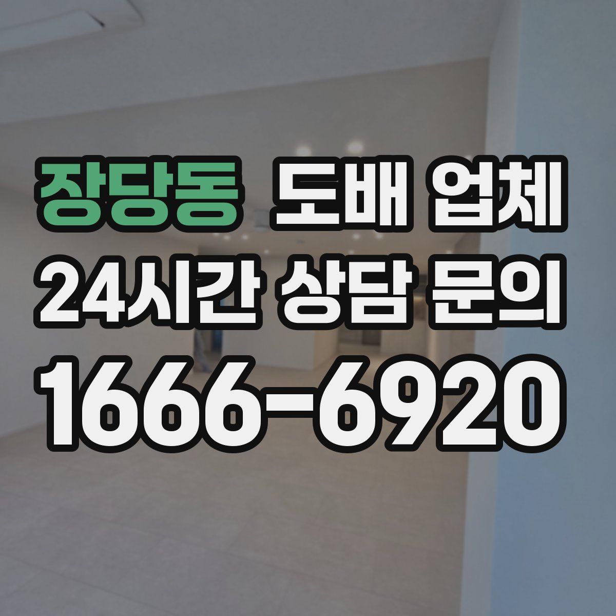 장당동 도배 업체