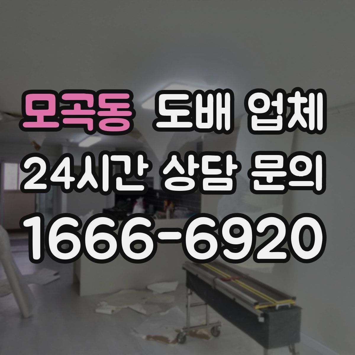 모곡동 도배 업체
