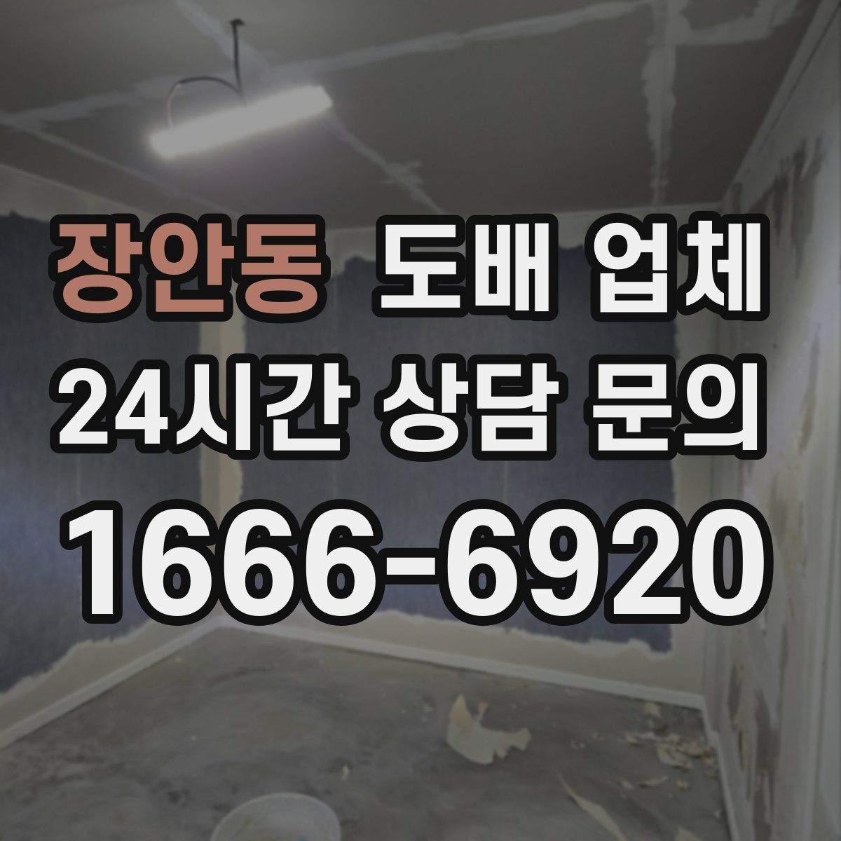 장안동 도배 업체