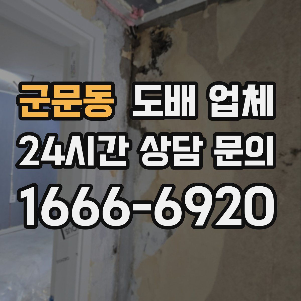 군문동 도배 업체